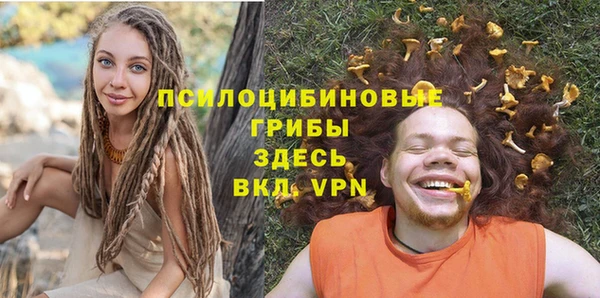 мдпв Алзамай