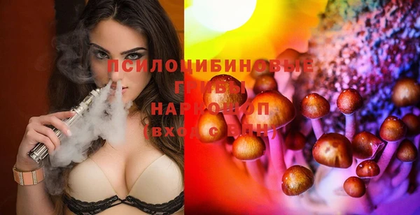 мдпв Алзамай