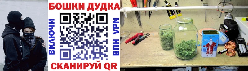 Шишки марихуана AK-47  нарко площадка клад  Салехард  как найти закладки 
